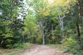 Leafy trees with a gravel trail through the forest in Wentworth Nova Scotia in autumn Royalty Free Stock Photo