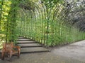 Leafy trellis tunnel at Alnwick Gardens Royalty Free Stock Photo