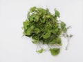 Leafy vegetable - Asiatic pennywort. Scientific name - Centella asiatica. It is used as a culinary vegetable.