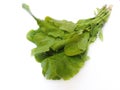 Leafy vegetable Spinach in isolated white background. Scientific name - Spinacia oleracea.Its leaves are a common edible vegetable