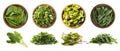 Leafy vegetables isolated on white. Spinach leaves, parsley, swiss chard mangold or beet leafs, arugula.