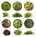 Leafy vegetables isolated on white. Spinach leaves, parsley, swiss chard mangold or beet leafs, lettuce, arugula. Vegetables