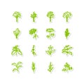 Leafy vegetables