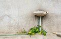 Ã Â¸Â¢leak and ruin sink in dirty old bathroom Royalty Free Stock Photo