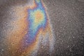 Leakage of oil or gasoline from a car on wet asphalt on a bright sunny day