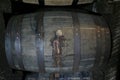Leaking whiskey, scotch, bourbon barrels in Kentucky Royalty Free Stock Photo