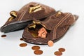 Leaky brown slippers. Royalty Free Stock Photo