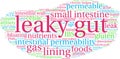 Leaky Gut Word Cloud Royalty Free Stock Photo