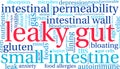 Leaky Gut Word Cloud Royalty Free Stock Photo