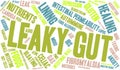 Leaky Gut Word Cloud Royalty Free Stock Photo