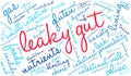 Leaky Gut Word Cloud Royalty Free Stock Photo