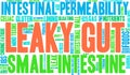 Leaky Gut Word Cloud Royalty Free Stock Photo