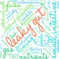 Leaky Gut Word Cloud