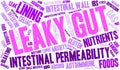 Leaky Gut Word Cloud