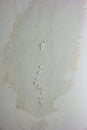 Leaky roof dampness in bedroom ceiling walls. Water droplets forming and dripping from damp ceiling from rain water flooding.