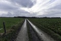 Wet autumnal day in agricultural landscape of Gulpen, South Limburg, The Netherlands Royalty Free Stock Photo