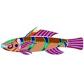 Lean colorful monster fish Royalty Free Stock Photo