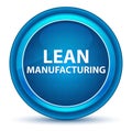 Lean Manufacturing Eyeball Blue Round Button