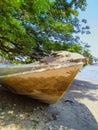 Leaning boat under green tree branches at coastal in Dili harbor, Timor-Leste. Royalty Free Stock Photo