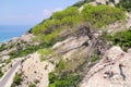 Leaning coastal and lonely pine tree at tropical sandy beach of Greece. Cedar tree on sea shore. Sea coast with beautiful horizon. Royalty Free Stock Photo