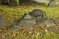 Leaning Gravestones in Old Graveyard Cemetery