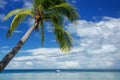 Leaning palm tree at the beach, Nananu-i-Ra island, Fiji Royalty Free Stock Photo