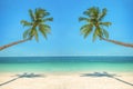 Leaning palm trees over a beach with turquoise sea Royalty Free Stock Photo