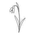 Leaning snowdrop spring flower, doodle style flat vector outline for coloring book