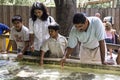 Leaning about stingrays