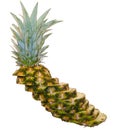 Leaning Tower of Pineapple