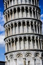 The Leaning Tower Of Pisa (Detail) Royalty Free Stock Photo