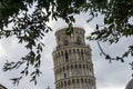 Leaning tower in Pisa, Tuscany, view on the top