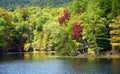 Leaning Tree Over Bays Mountain Lake