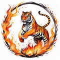 Leap of Courage: Tiger Jumping Through the Ring of Fire Royalty Free Stock Photo
