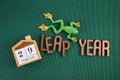 LEAP YEAR. Concept for date 29 month February