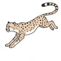 Leaping Cheetah with Black Spots and Tail Animated Illustration Isolated Royalty Free Stock Photo
