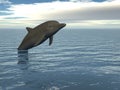 Leaping dolphin