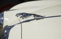 The leaping Jaguar is the symbol of the brand on the hood of the car Jaguar Mk I 1957, the Parade of vintage cars in Savonlinna,