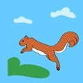 Leaping squirrel Royalty Free Stock Photo