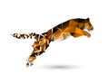 Leaping tiger from polygons Royalty Free Stock Photo