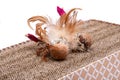 Leaps & Bounds Ball with Feather Cat Toy on reversible cat scratcher made of 100% recycled cardboard. Cat Toys for Scratching