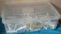 ÃÂ¡lear plastic container is filled with used disposable syringes