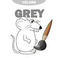 Learn The Color Gray - things that are gray color - mouse - coloring book