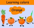 Learn colors. Orange color. Persimmons, orange, carrots, onions. Baby training Royalty Free Stock Photo