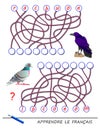 Learn French. Logic puzzle game with cute birds for study French language. Find correct places for letters, write them.