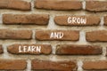 Learn and grow symbol. Concept word Learn And Grow on beautiful red brown bricks. Beautiful red brown brickwall background. Royalty Free Stock Photo