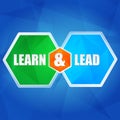 Learn and lead in hexagons, flat design Royalty Free Stock Photo