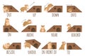 Learn prepositions of place and movement. Hamster character in different positions, cute animal educational cartoon