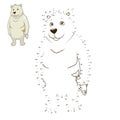 Learn to draw animal polar bear vector