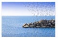 Learn to manage anxiety and stress to rebuild the inner serenity - concept image in jigsaw puzzle shape